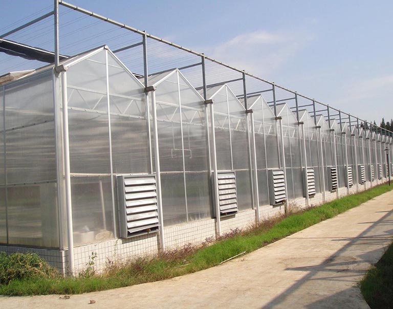 nhà kính từ tấm lợp lấy sáng Polycarbonate