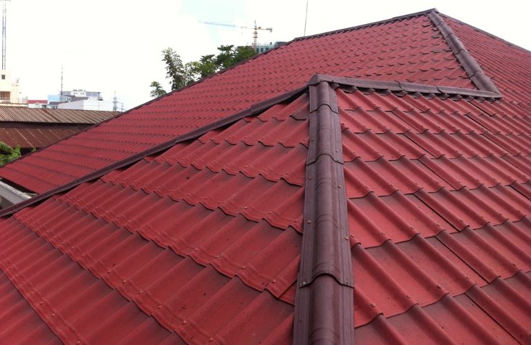 Tôn sinh thái giả ngói