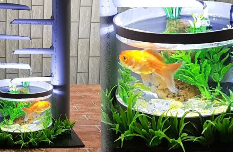 Ống mica phi 500mm x 5mm x 2m thường được dùng làm hồ cá cảnh