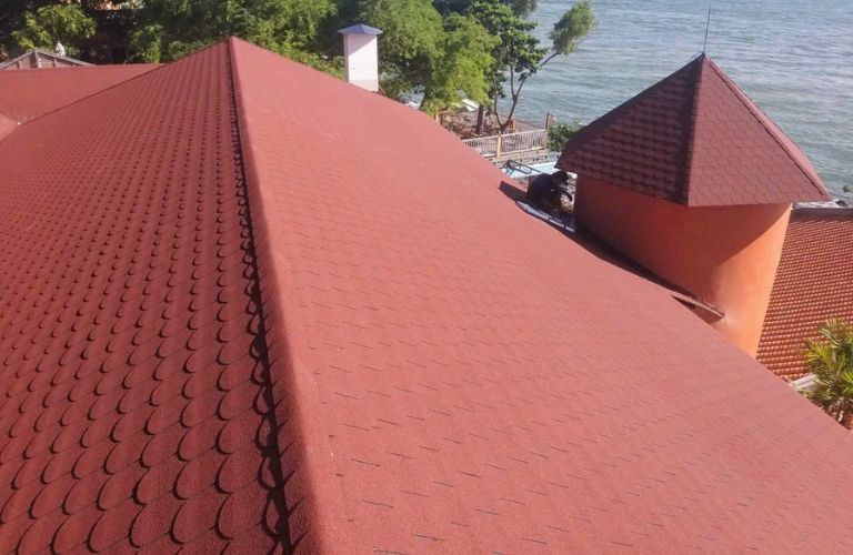 Xác định đặc điểm hệ mái